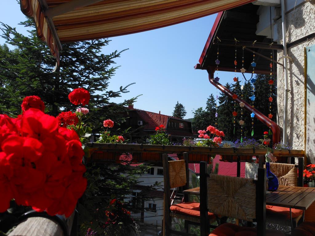 Bistro-Pension La Teleferic Sinaia Dış mekan fotoğraf
