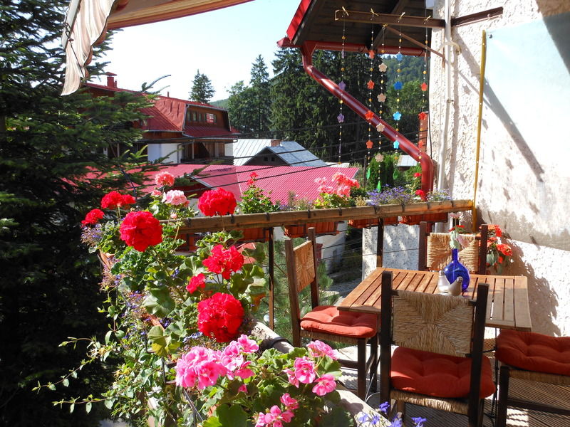 Bistro-Pension La Teleferic Sinaia Dış mekan fotoğraf