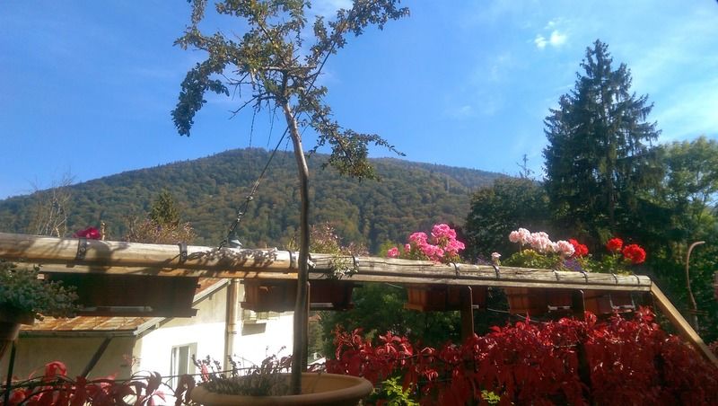 Bistro-Pension La Teleferic Sinaia Dış mekan fotoğraf
