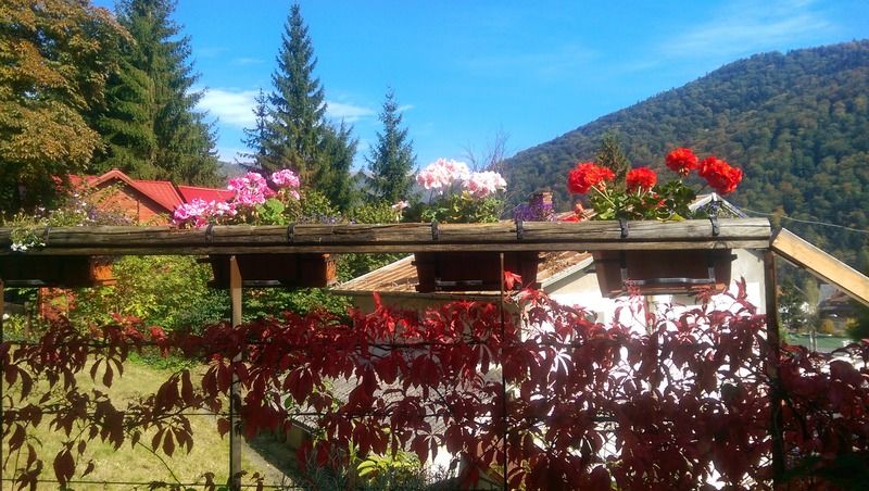 Bistro-Pension La Teleferic Sinaia Dış mekan fotoğraf