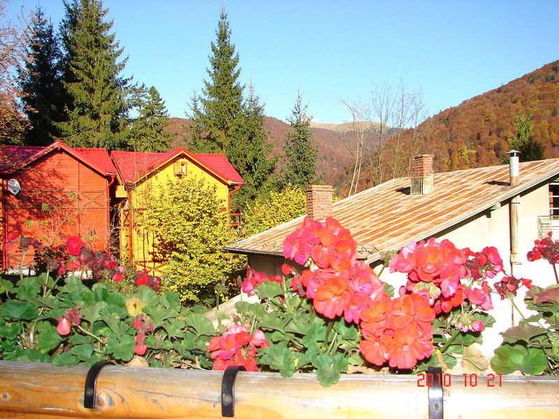 Bistro-Pension La Teleferic Sinaia Dış mekan fotoğraf