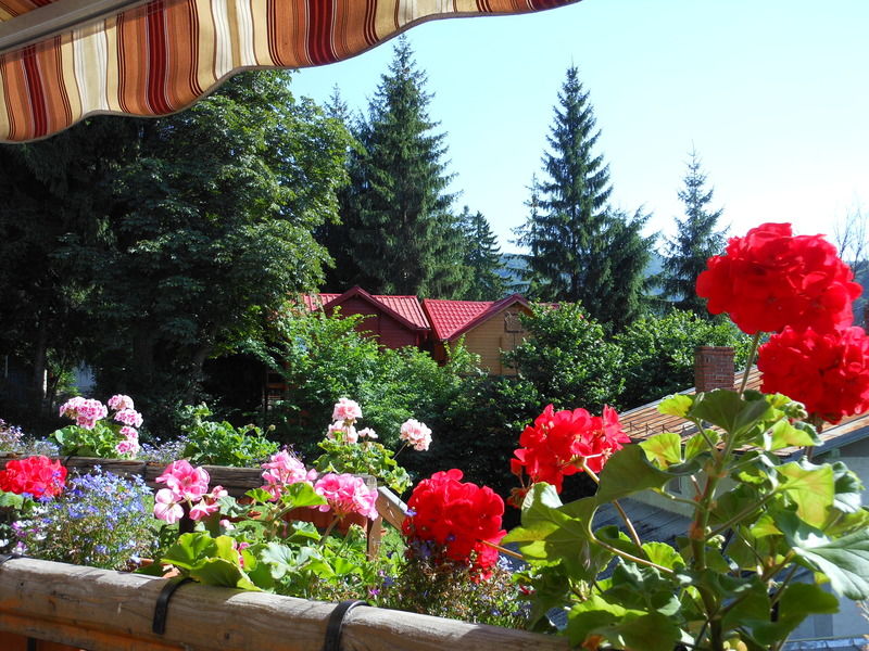 Bistro-Pension La Teleferic Sinaia Dış mekan fotoğraf