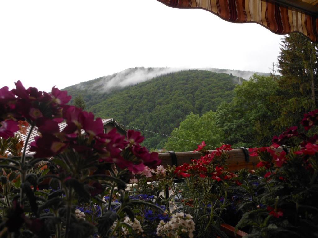 Bistro-Pension La Teleferic Sinaia Dış mekan fotoğraf