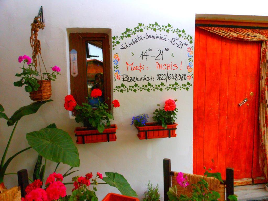Bistro-Pension La Teleferic Sinaia Dış mekan fotoğraf